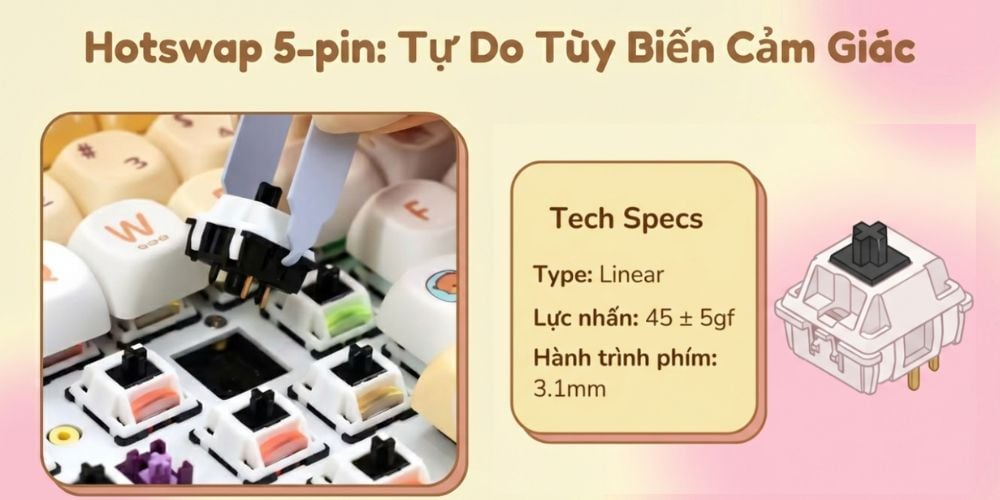 Hình ảnh sản phẩm