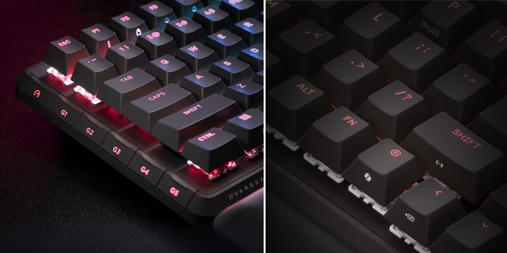 Hình ảnh sản phẩm