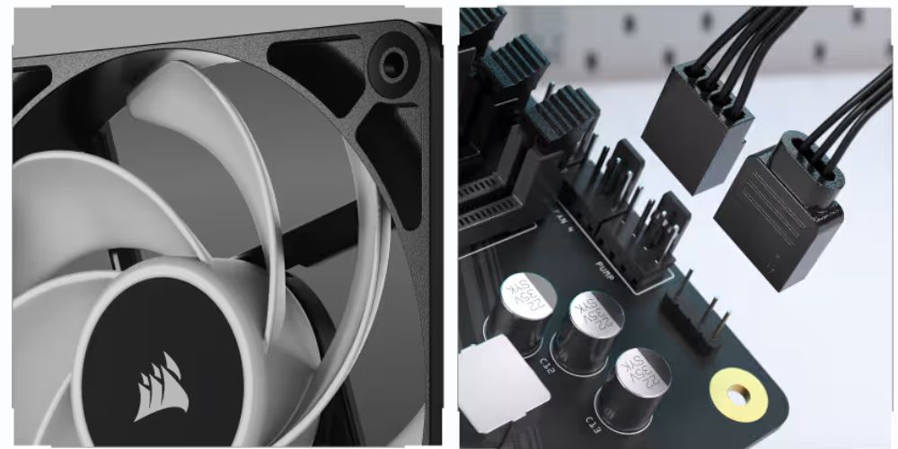 Hình ảnh sản phẩm