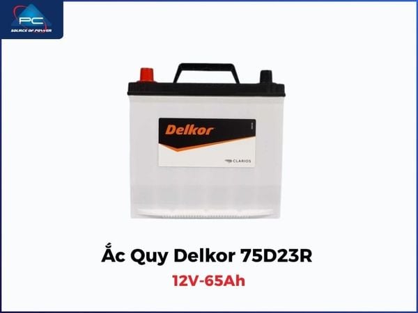 ắc quy delkor
