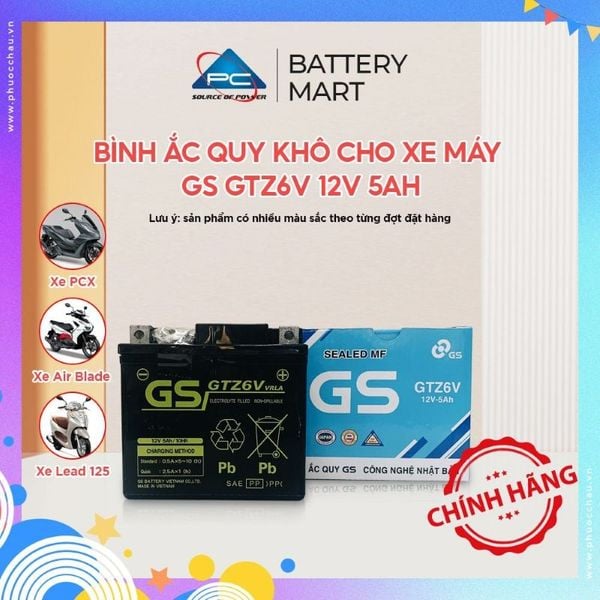 Ắc quy GS GTZ6V