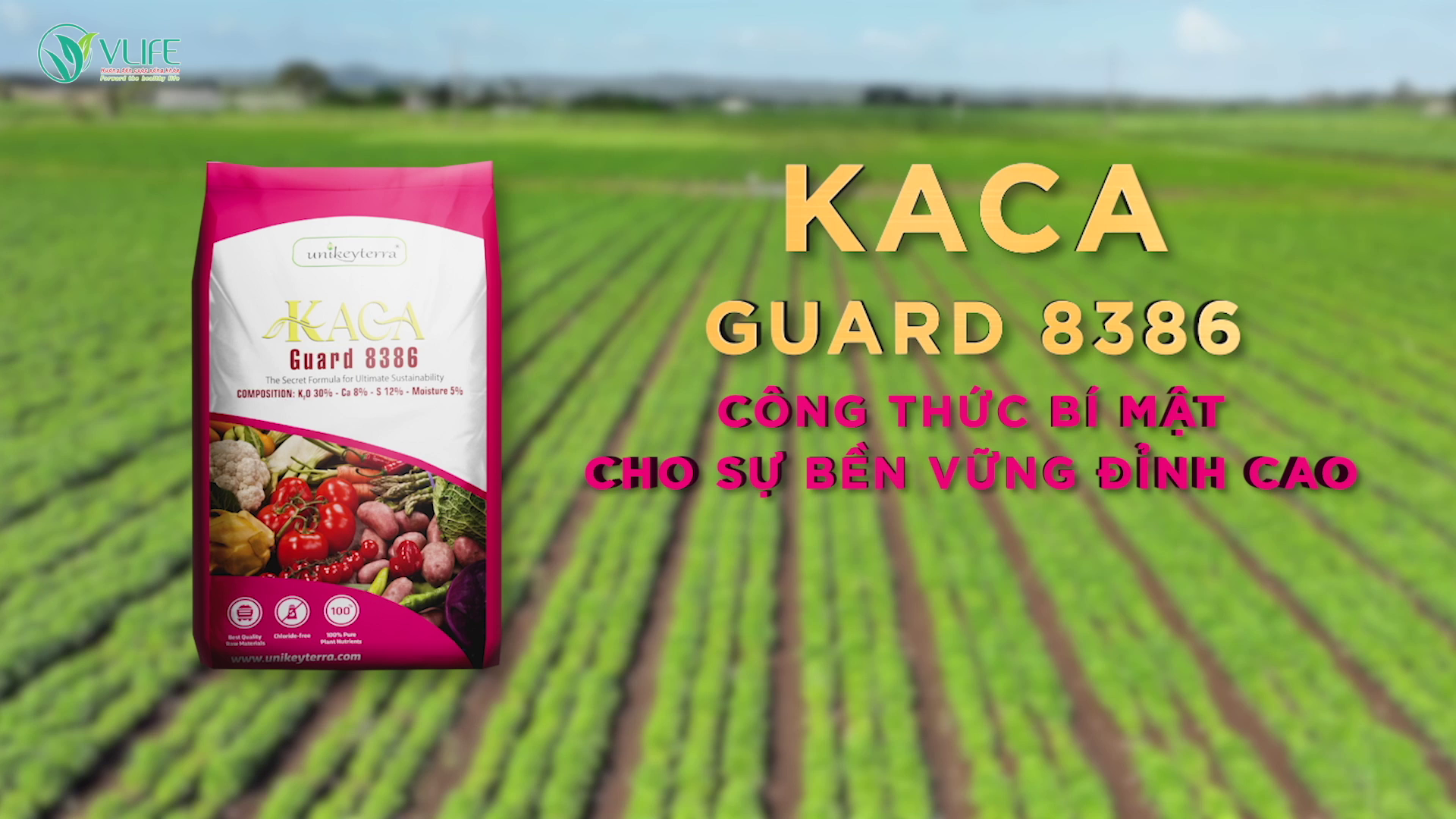 KACA Guard 8386 – CÔNG THỨC BÍ MẬT CHO SỰ BỀN VỮNG ĐỈNH CAO