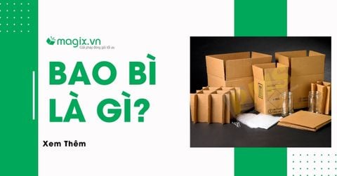 Bao bì là gì? Chức năng, phân loại và vai trò quan trọng