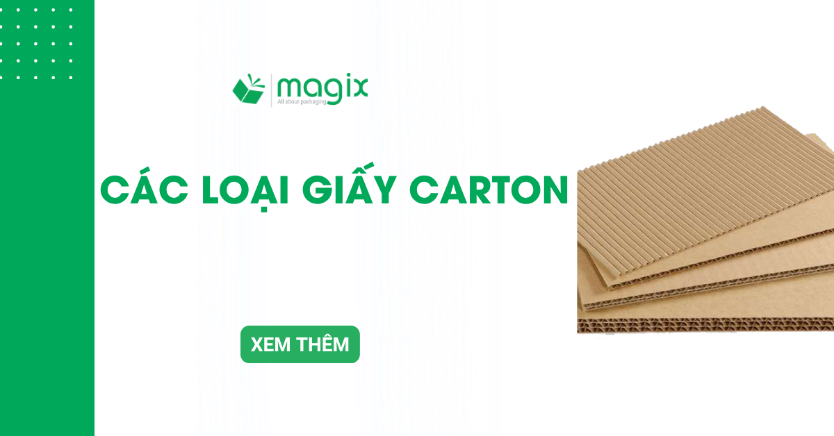 Các loại giấy carton phổ biến: Phân loại và ứng dụng thực tế