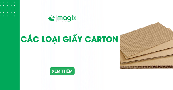 Các loại giấy carton phổ biến: Phân loại và ứng dụng thực tế