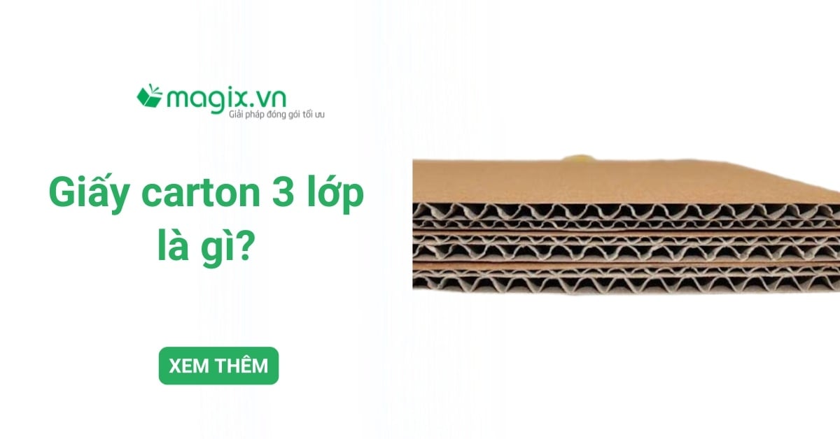 Giấy carton 3 lớp là gì? Cấu tạo, ưu nhược điểm và ứng dụng