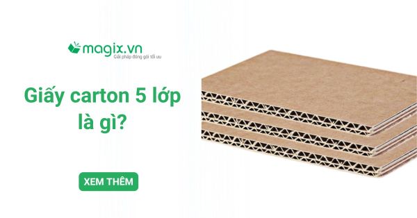 Giấy carton 5 lớp là gì? Cấu tạo, phân loại và ứng dụng