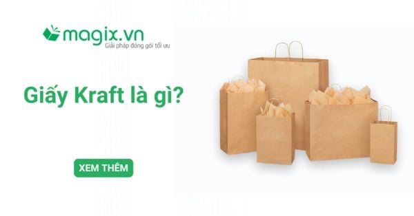 Giấy Kraft là gì? Đặc điểm, phân loại và ứng dụng phổ biến