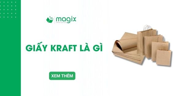 Giấy Kraft là gì? Đặc điểm, phân loại và ứng dụng phổ biến