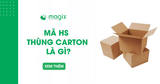 Mã HS thùng carton là gì? Tra cứu thuế, lưu ý khi khai báo hải quan