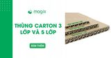 So sánh thùng carton 3 lớp và 5 lớp: Nên chọn loại nào phù hợp?