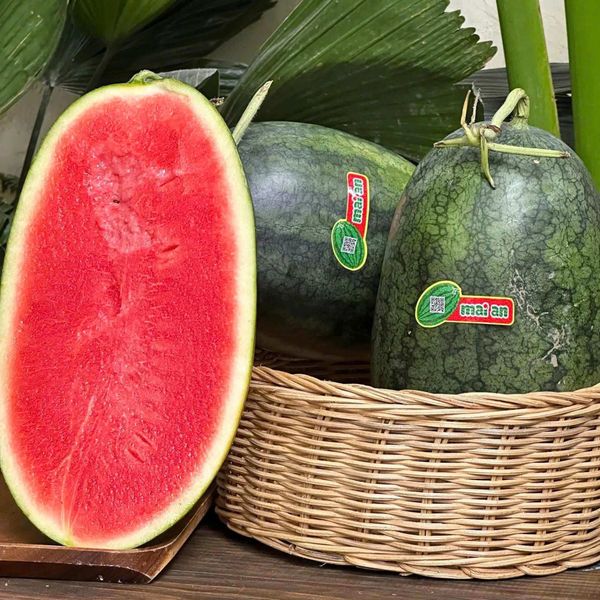 dưa hấu