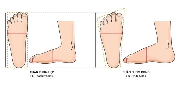size chân