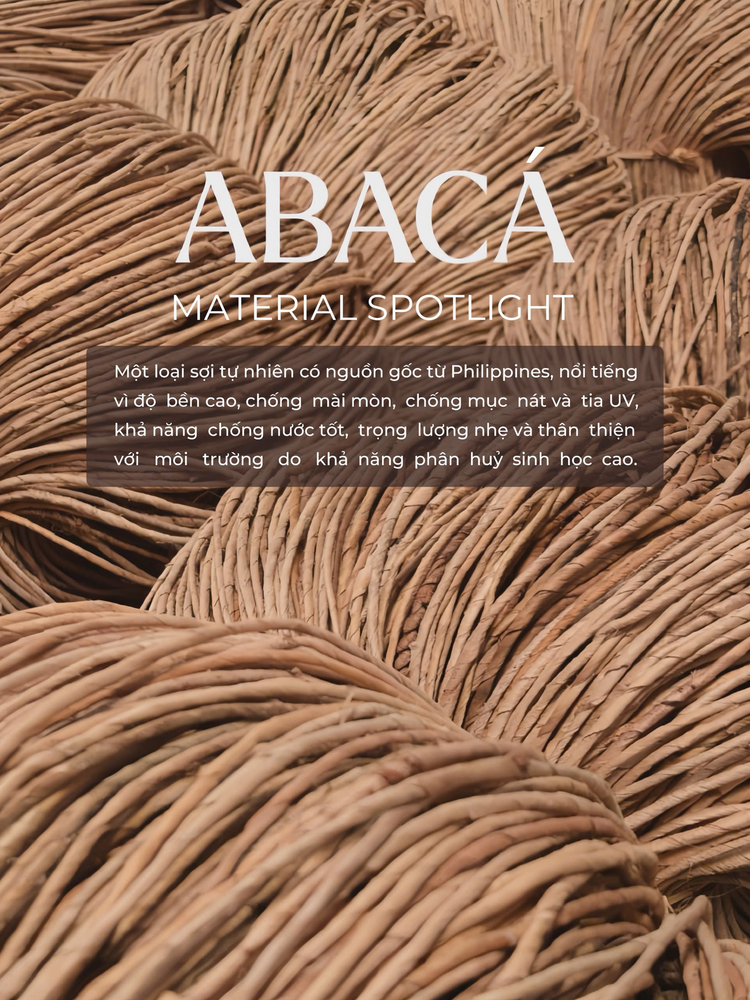 Abacá – Sợi vải sinh thái cho phong cách vượt thời gian