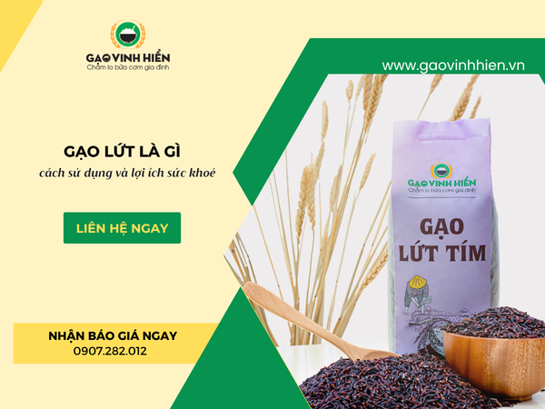 Gạo Lứt Là Gì? Hướng Dẫn Đầy Đủ Từ Lựa Chọn, Sử Dụng Đến Lợi Ích Sức Khoẻ