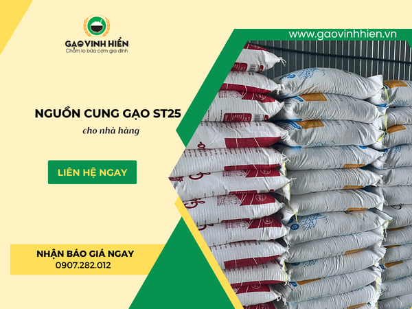 Nguồn Cung Cấp Gạo ST25 Cho Nhà Hàng: Bí Quyết Giữ Chân Khách Hàng