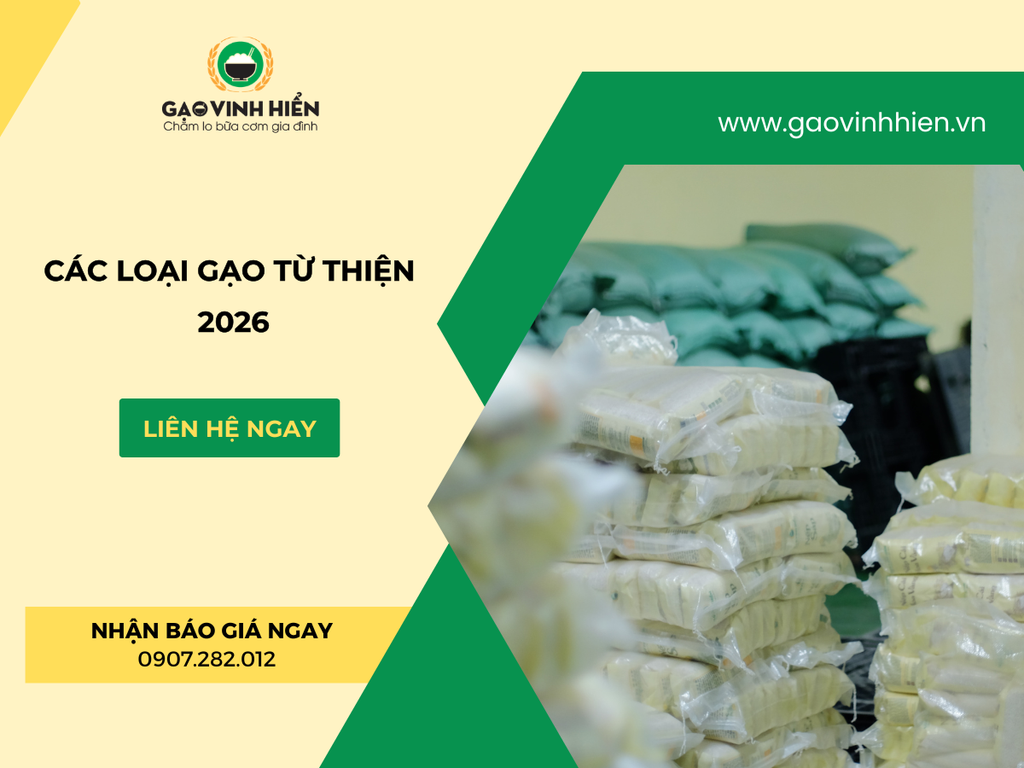 NHỮNG LOẠI GẠO CHUYÊN LÀM TỪ THIỆN 2026| GẠO TỪ THIỆN GIÁ SỈ VINH HIỂN