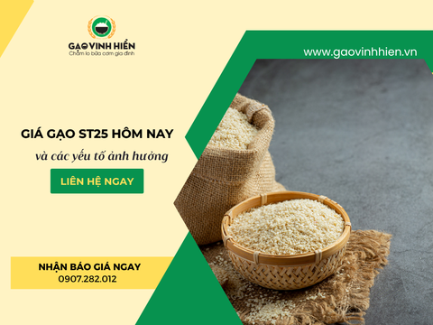 Giá Gạo ST25 Hôm Nay Bao Nhiêu? Yếu Tố Ảnh Hưởng Đến Giá ST25