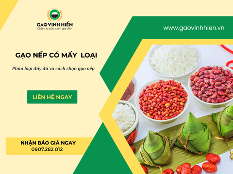 GẠO NẾP CÓ MẤY LOẠI? PHÂN LOẠI CHI TIẾT VÀ CÁCH CHỌN GẠO NẾP CHUẨN