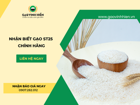 Cách Nhận Biết Gạo ST25 Chính Hãng: 7 Dấu Hiệu Người Mua Nên Biết