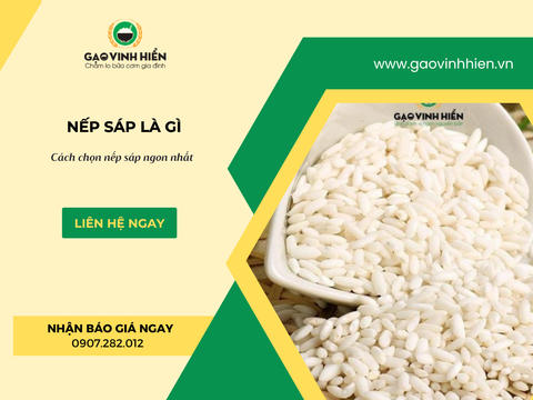 GẠO NẾP SÁP LÀ GÌ? ĐẶC ĐIỂM VÀ CÁCH CHỌN NẾP SÁP NGON NHẤT