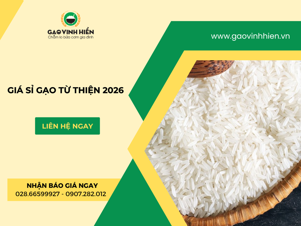 Bảng Giá Sỉ Gạo Từ Thiện 2026 – Đóng Túi 5kg 10kg – Giao Hành Nhanh