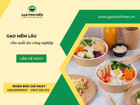 Gạo nào giữ mềm lâu cho suất ăn công nghiệp? Giải pháp tối ưu cho bếp ăn Horeca