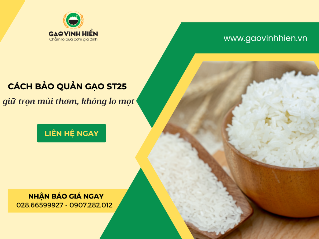 Cách Bảo Quản Gạo ST25 Đúng Cách: Giữ Trọn Mùi Thơm, Không Lo Mọt