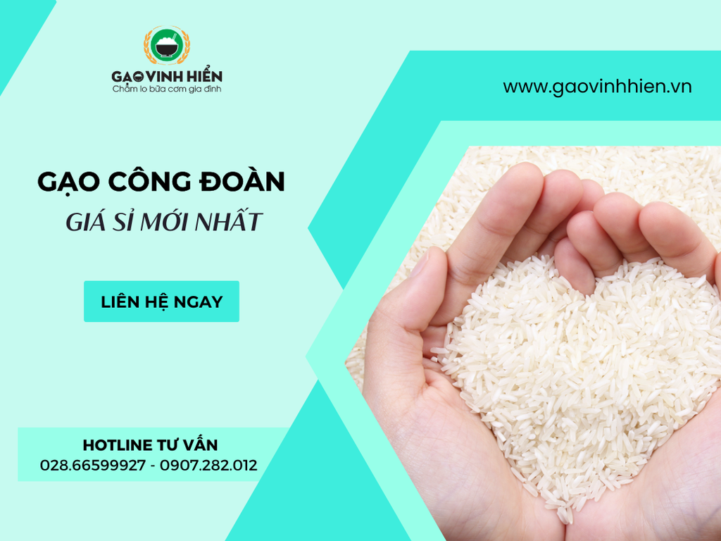 Bảng Giá Sỉ Gạo Công Đoàn Mới Nhất – Gạo Đủ Giấy Tờ, Giao Đúng Hẹn