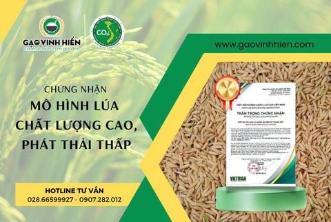 GẠO VINH HIỂN – TỰ HÀO VỚI CHỨNG NHẬN MÔ HÌNH LÚA CHẤT LƯỢNG CAO, PHÁT THẢI THẤP