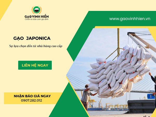 GẠO JAPONICA LÀ GÌ- VÌ SAO NHÀ HÀNG CAO CẤP ƯU TIÊN LỰA CHỌN