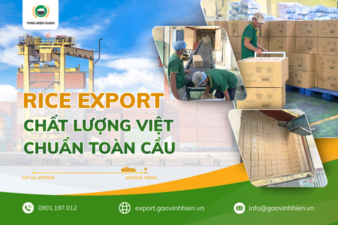 GẠO VINH HIỂN – XUẤT KHẨU GẠO ĐẾN ISRAEL: BƯỚC TIẾN CỦA MỘT HỆ THỐNG ĐÃ SẴN SÀNG CHO QUY MÔ LỚN