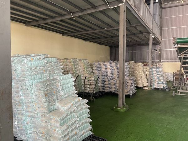 Cung cấp gạo số lượng lớn cho Bếp Ăn Công Nghiệp