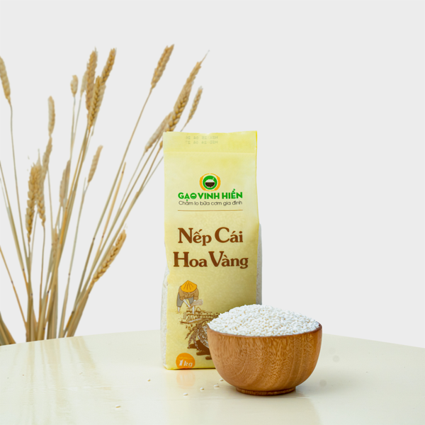 Nếp Cái Hoa Vàng Vinh Hiển
