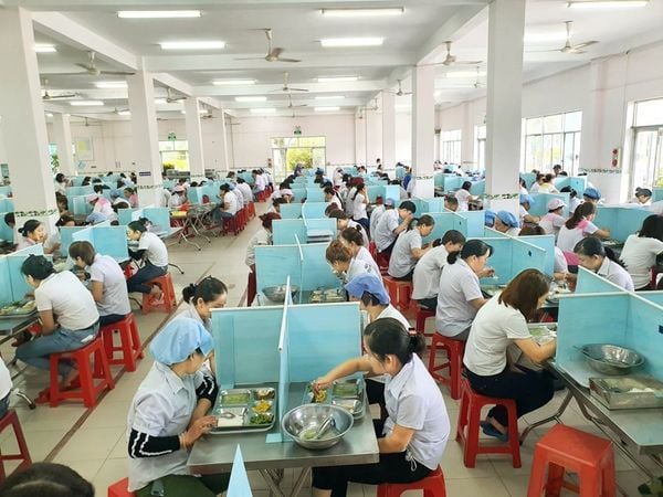 Cung cấp gạo số lượng lớn cho Bếp Ăn Công Nghiệp