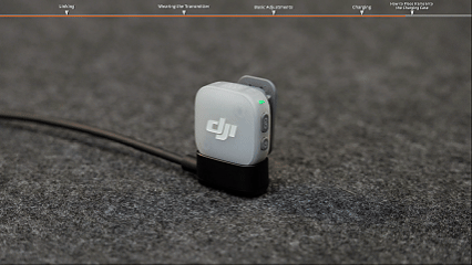 mic mini 2