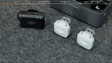mic mini 2
