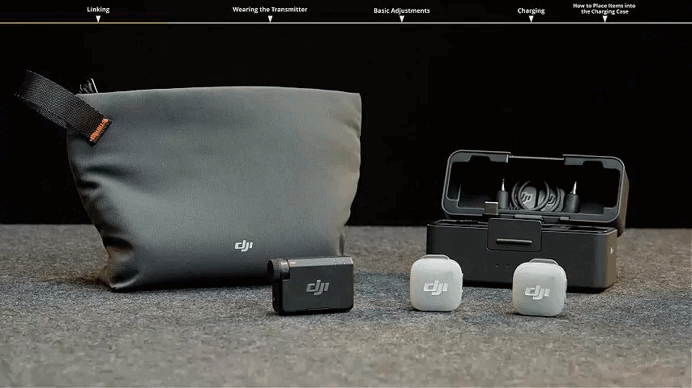 mic mini 2