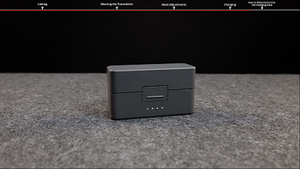 mic mini 2