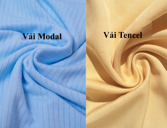 So sánh vải Modal và Tencel: Nên lựa chọn loại vải nào?