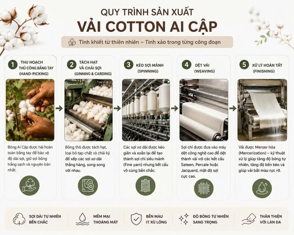 vải cotton Ai Cập