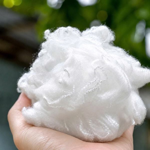 sợi xơ