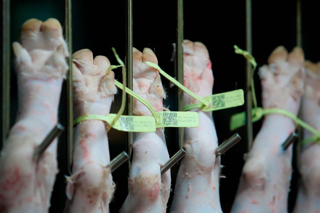 Chọn thực phẩm an toàn trong bối cảnh có dịch tả lợn châu Phi