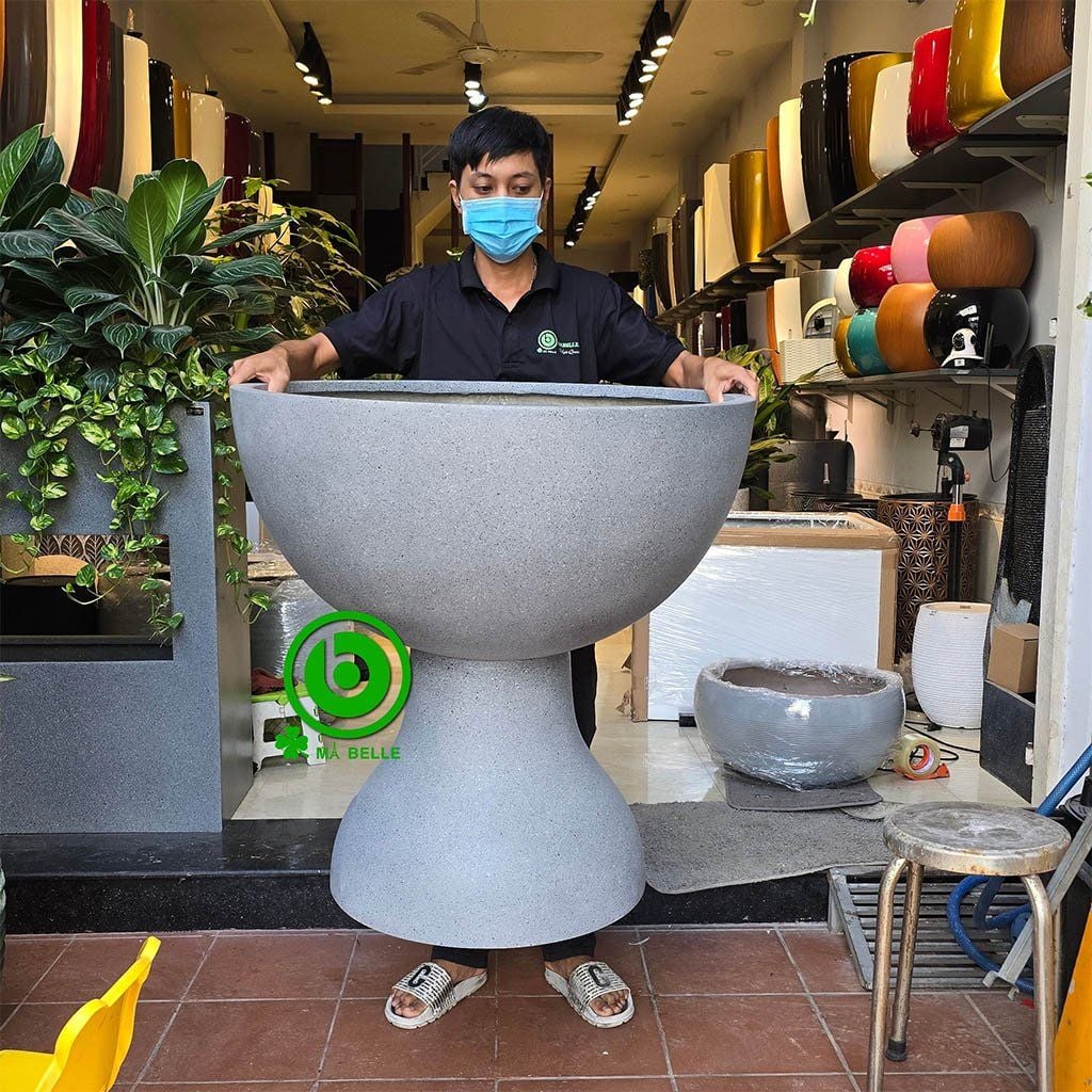 chậu composite trồng sen