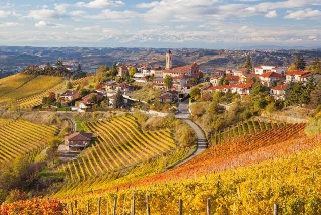 Piedmont – Thủ Phủ Của Những Chai Rượu Vang Ý Đẳng Cấp