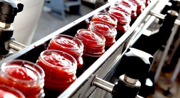 Khử trùng thực phẩm là gì? 7 phương pháp phổ biến hiện nay