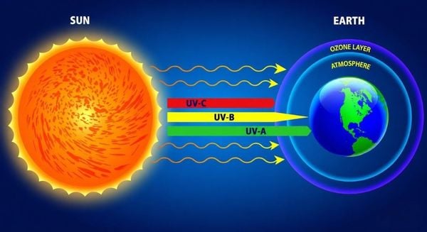 Tia cực tím có tác hại gì? Cách phòng tránh tác hại từ tia UV