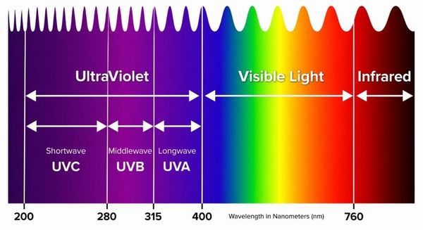 Tia cực tím là gì? Phân loại UVA, UVB, UVC và những điều cần biết