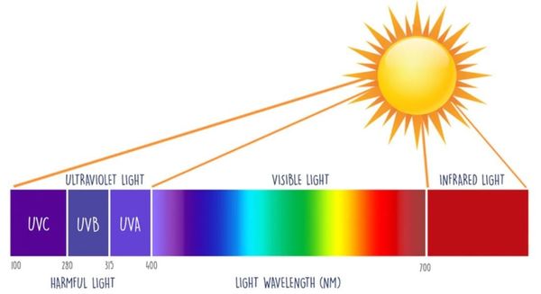 Tia UV có tác dụng gì? Những ứng dụng của tia UV không thể bỏ qua