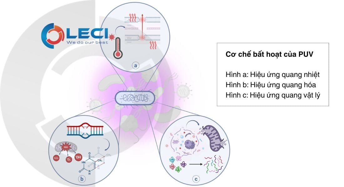 cong-nghe-UVC-Flash-Pulsed-UV-1